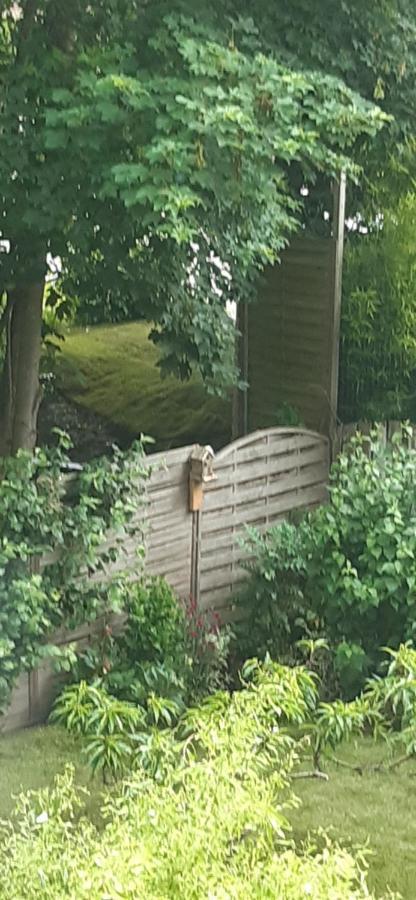 La P'Tite Maison Charleroi Dış mekan fotoğraf